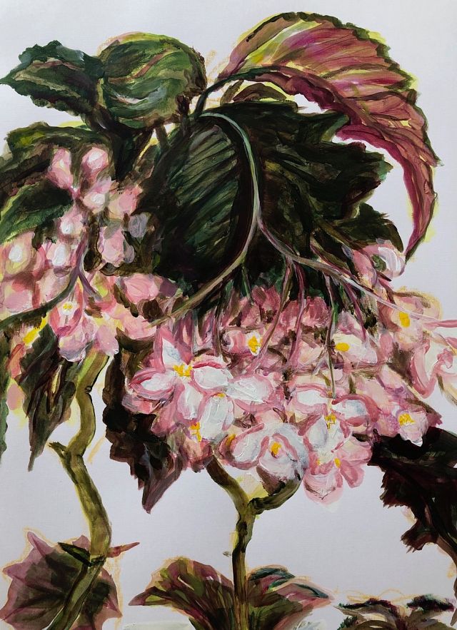 Geoff Harvey

_Flowering Begonia_
45x32cm acrylic on paper